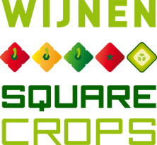 Wijnen Square Crops